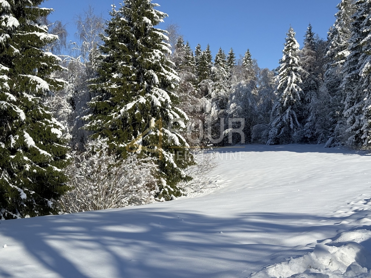 Terreno RAVNA GORA, 405.000 €