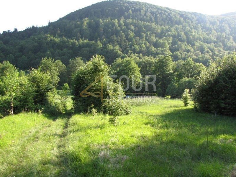 FUŽINE