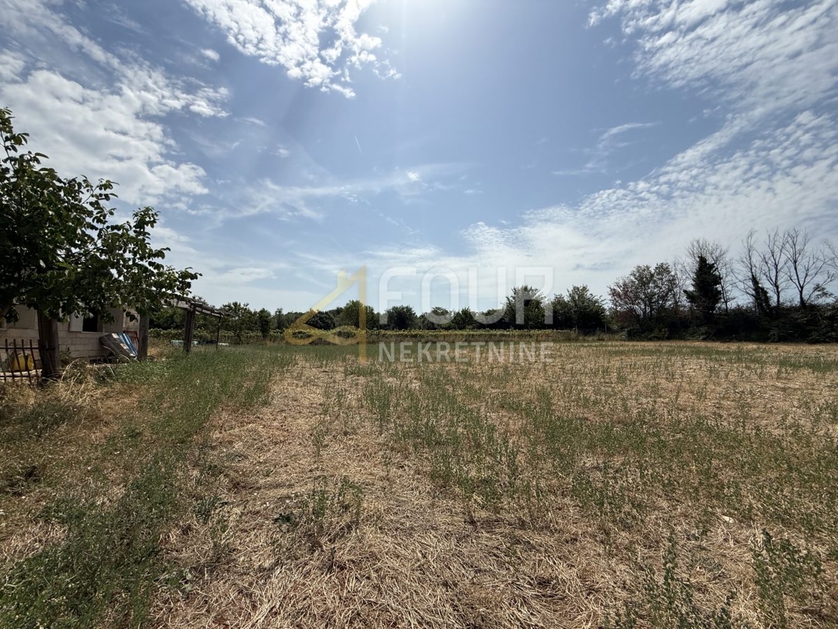 image 14