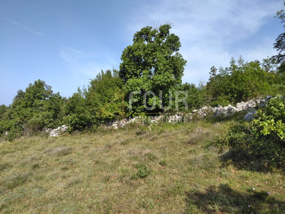 VIŠNJAN