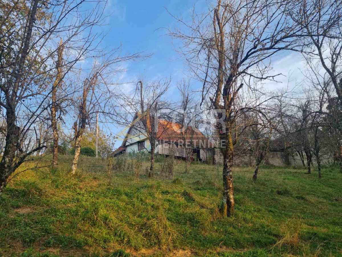 OGULIN