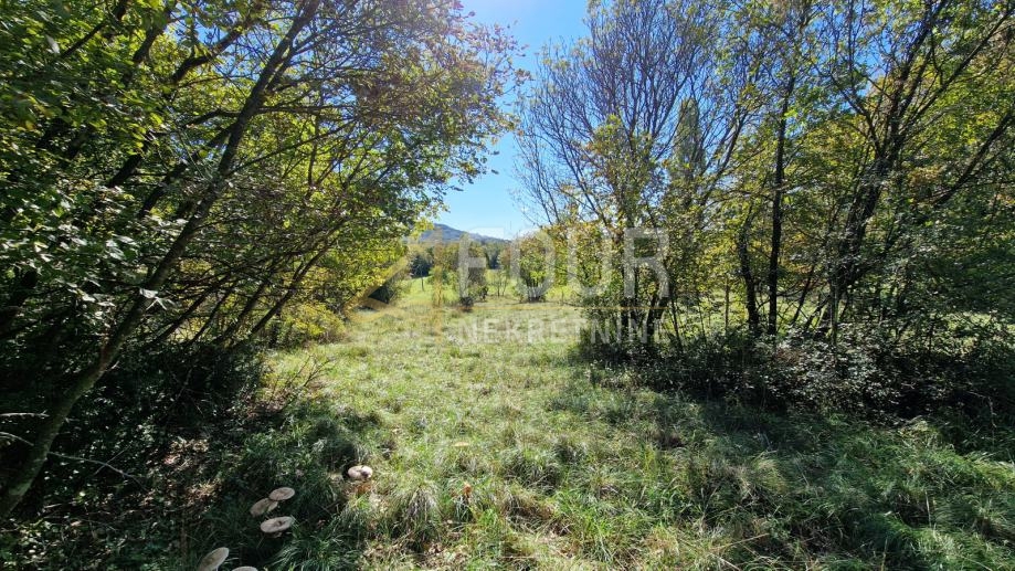 ČAVLE