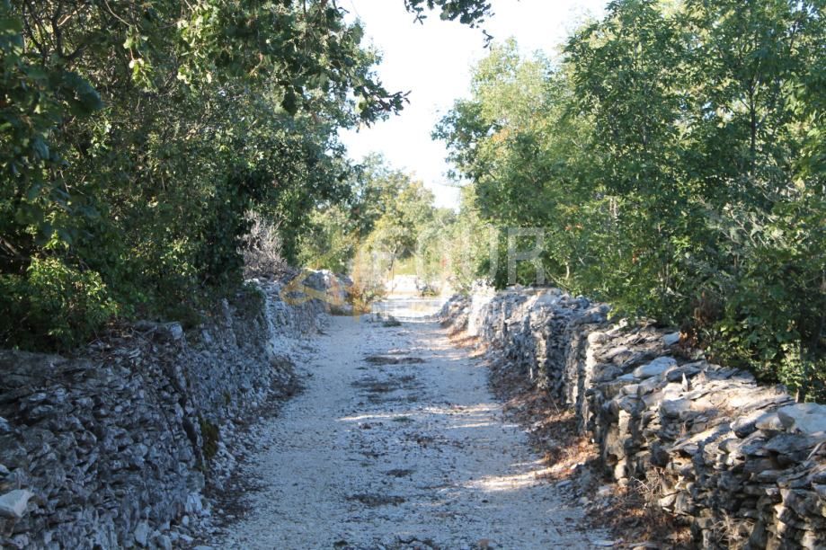 GALIŽANA