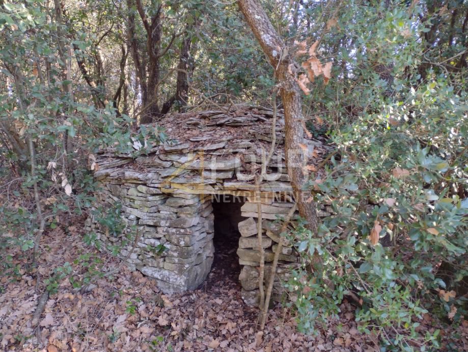 MARČANA