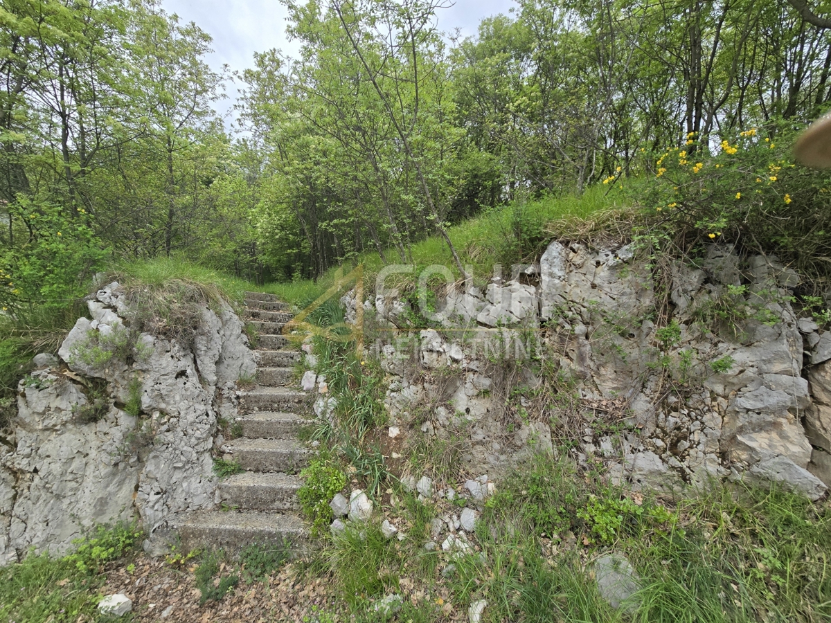 SVILNO