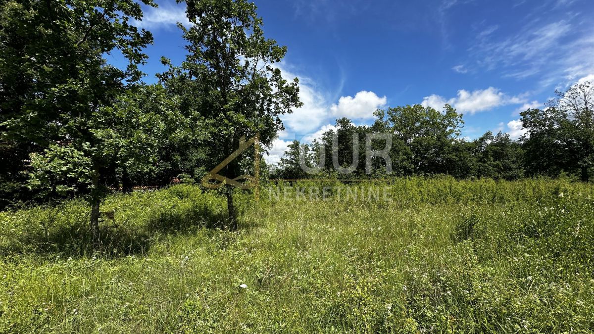 Terreno VIŠNJAN, 80.256 €