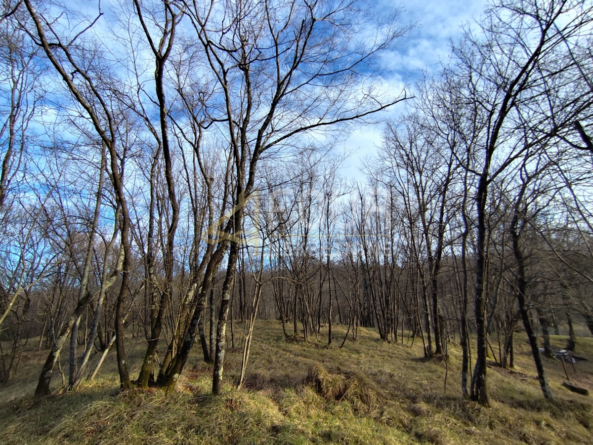 Terreno VIŠKOVO, 15.000 €