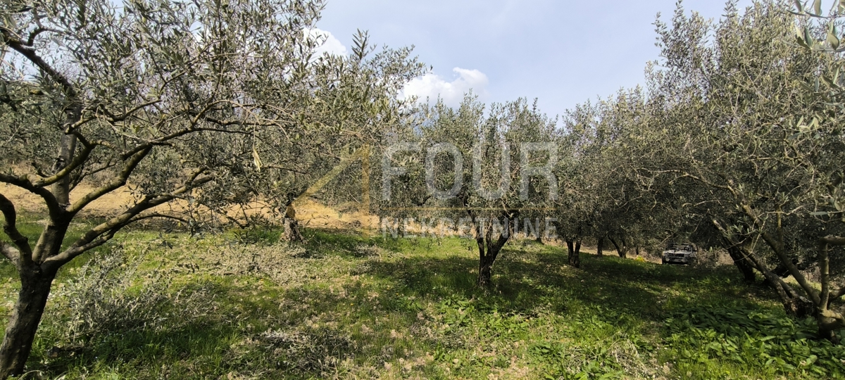 Участок BUZET, 37.000 €