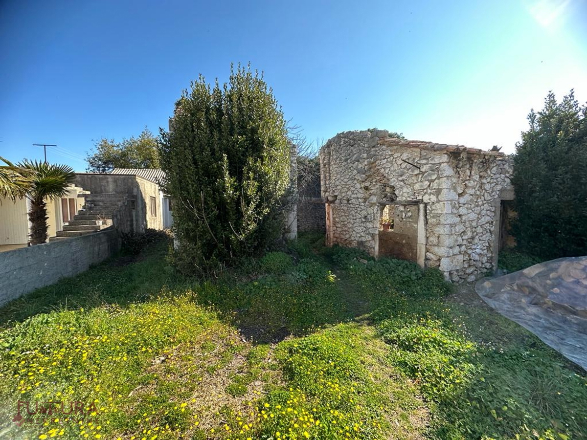 KOŽINO