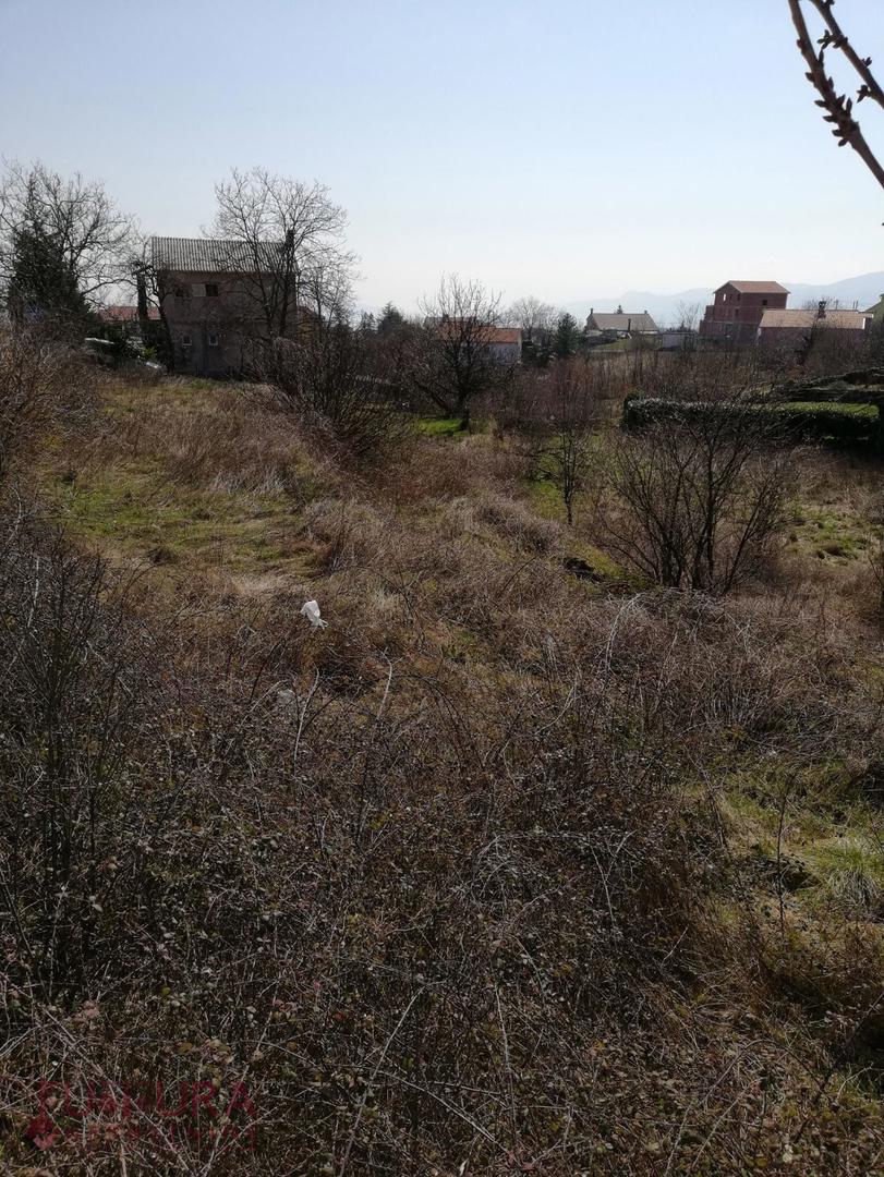 MARČELJI