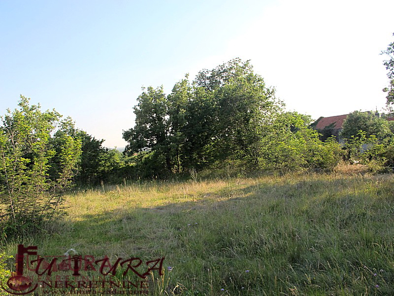 POLIČNIK