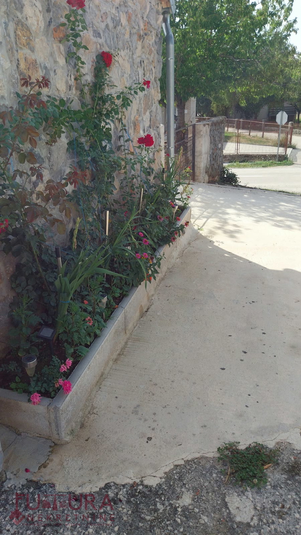 image 34