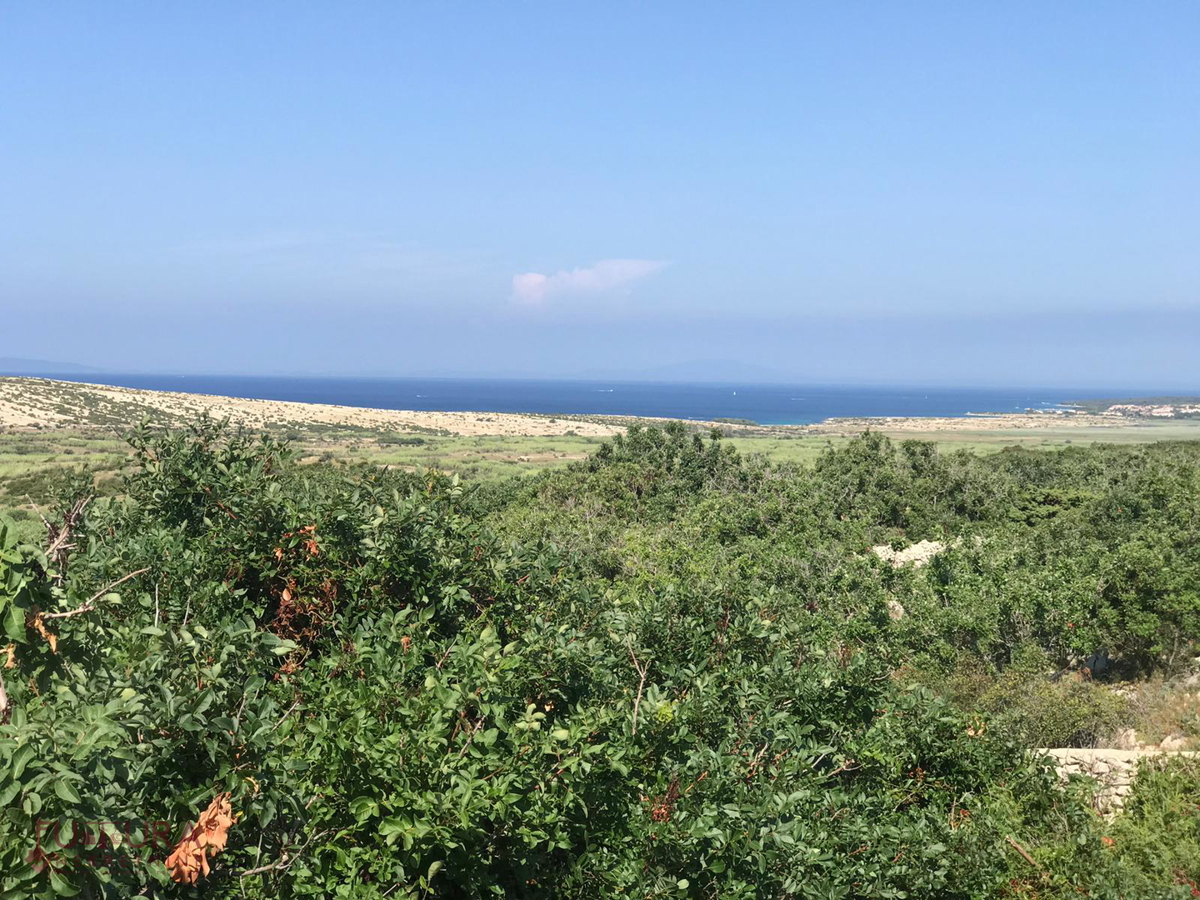 KOLAN
