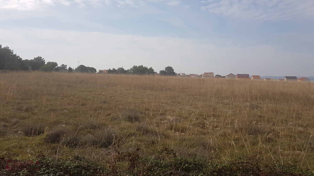 POVLJANA