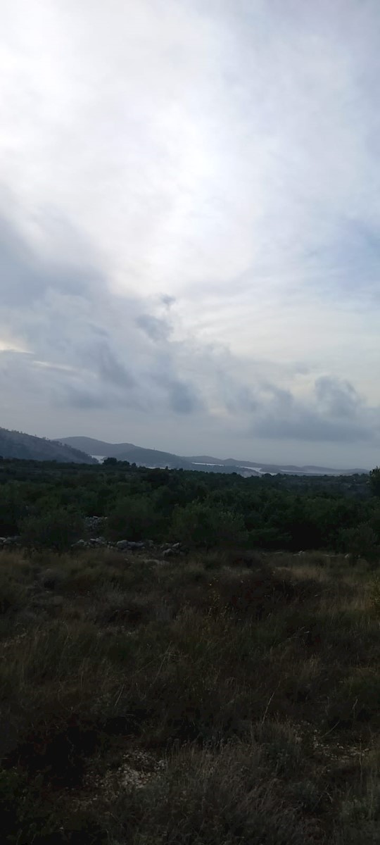 ROGOZNICA