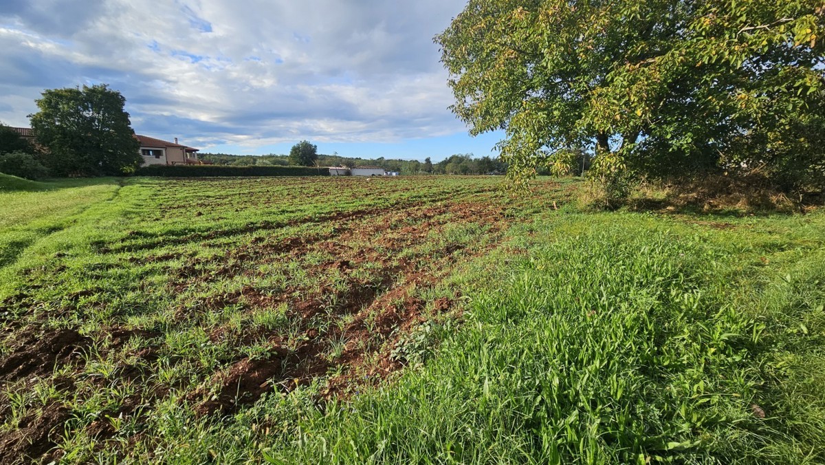 Участок VIŽINADA, 198.000 €