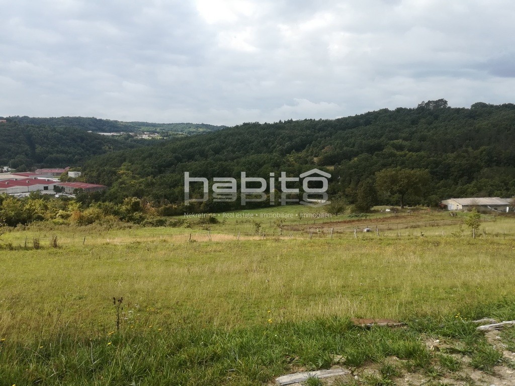 PAZIN