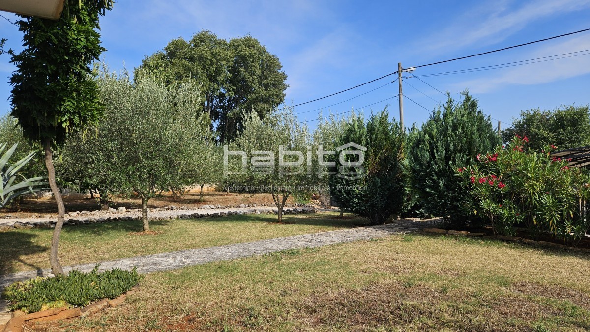 image 36