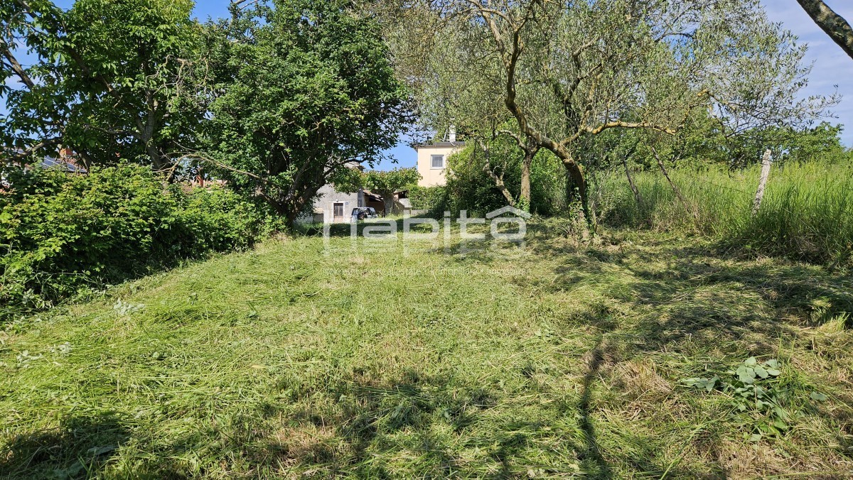 image 13