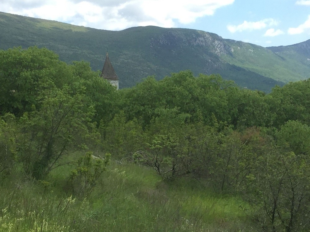ŠUŠNJEVICA