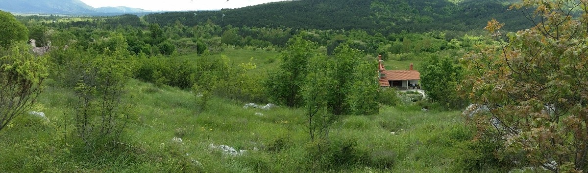 ŠUŠNJEVICA