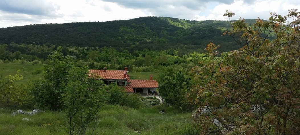 ŠUŠNJEVICA