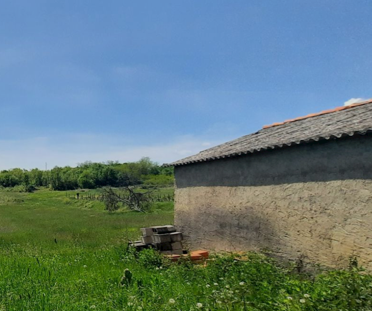 PIĆAN