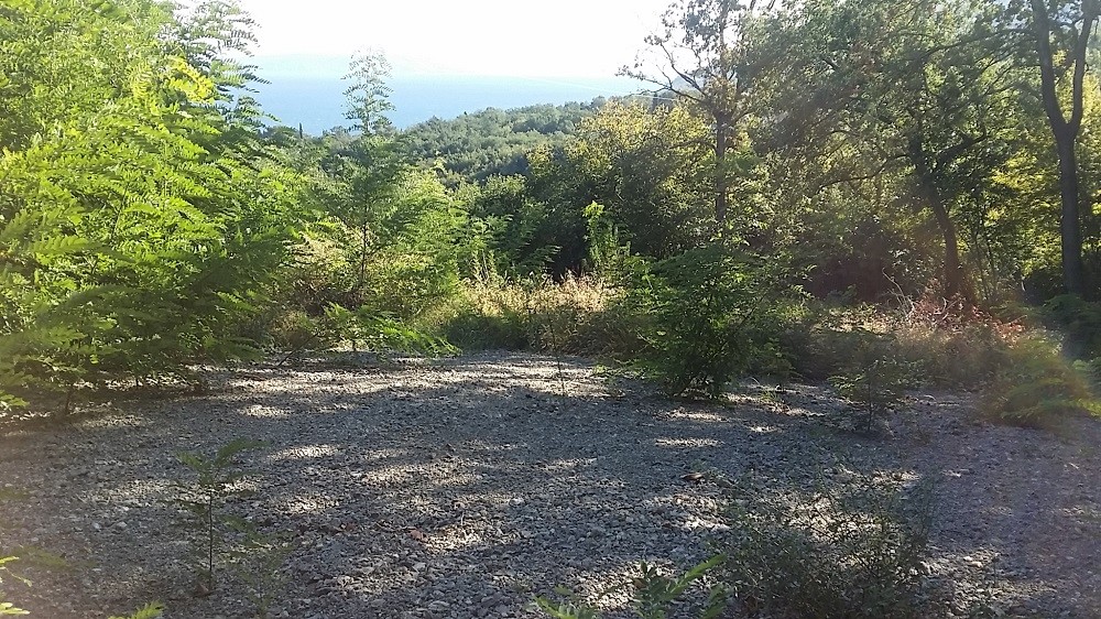 IČIĆI