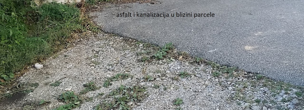 IČIĆI