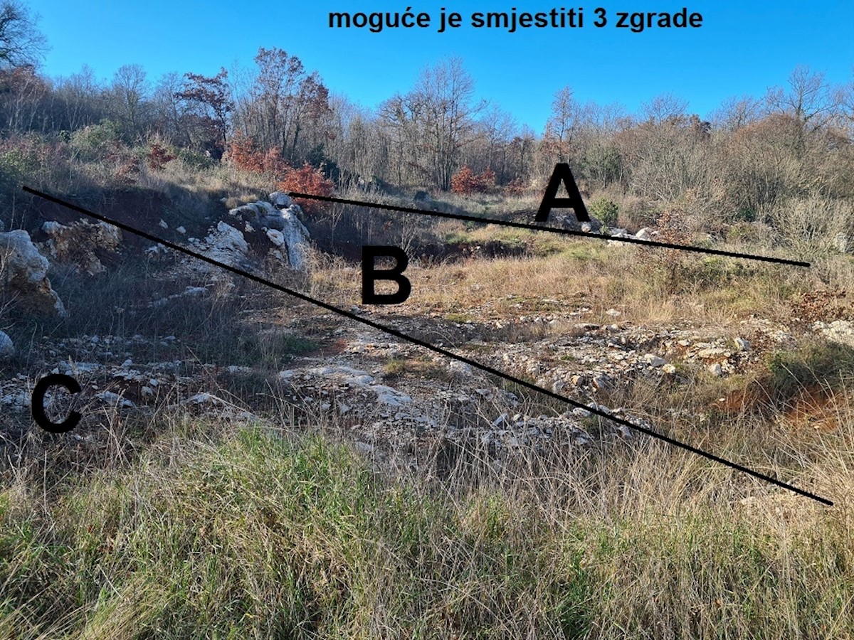 NEDEŠĆINA