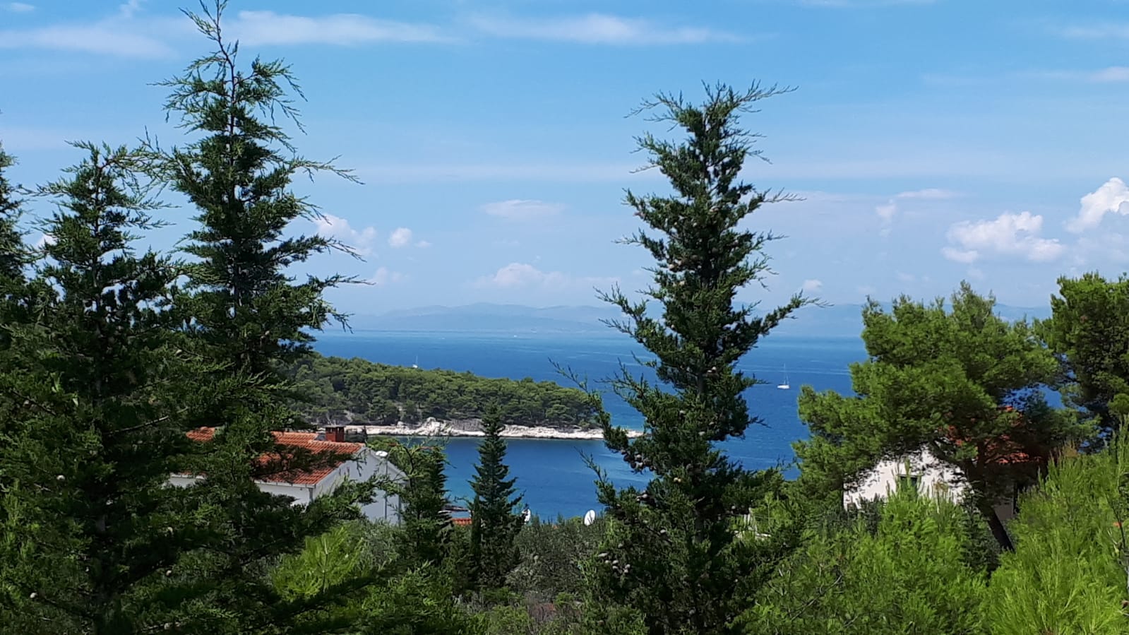 BOBOVIŠĆA