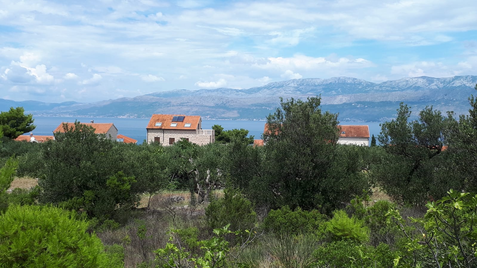 BOBOVIŠĆA