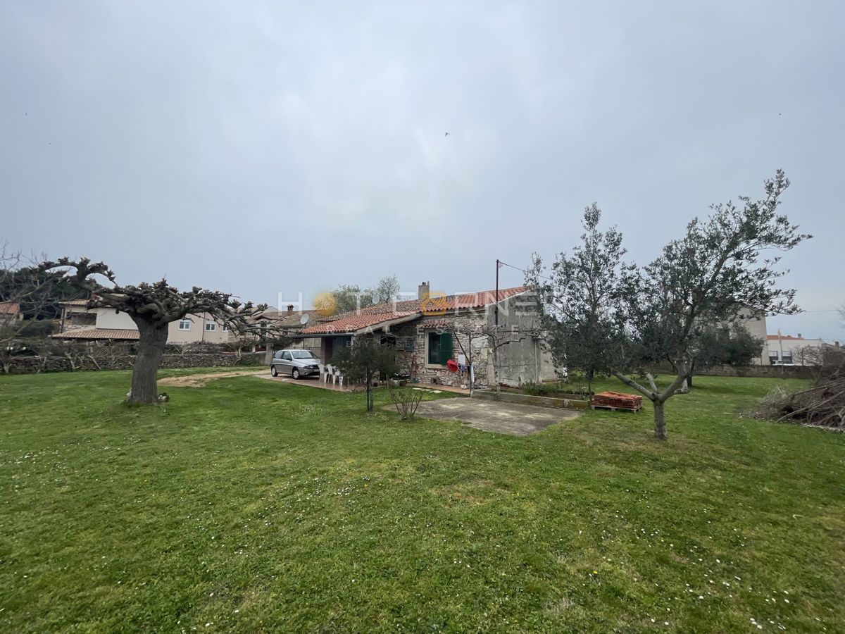 PULA