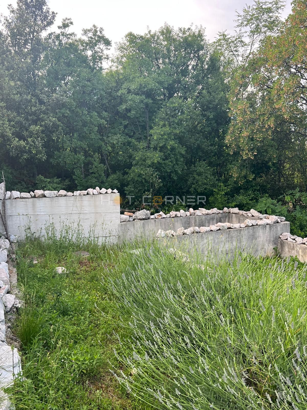 image 42