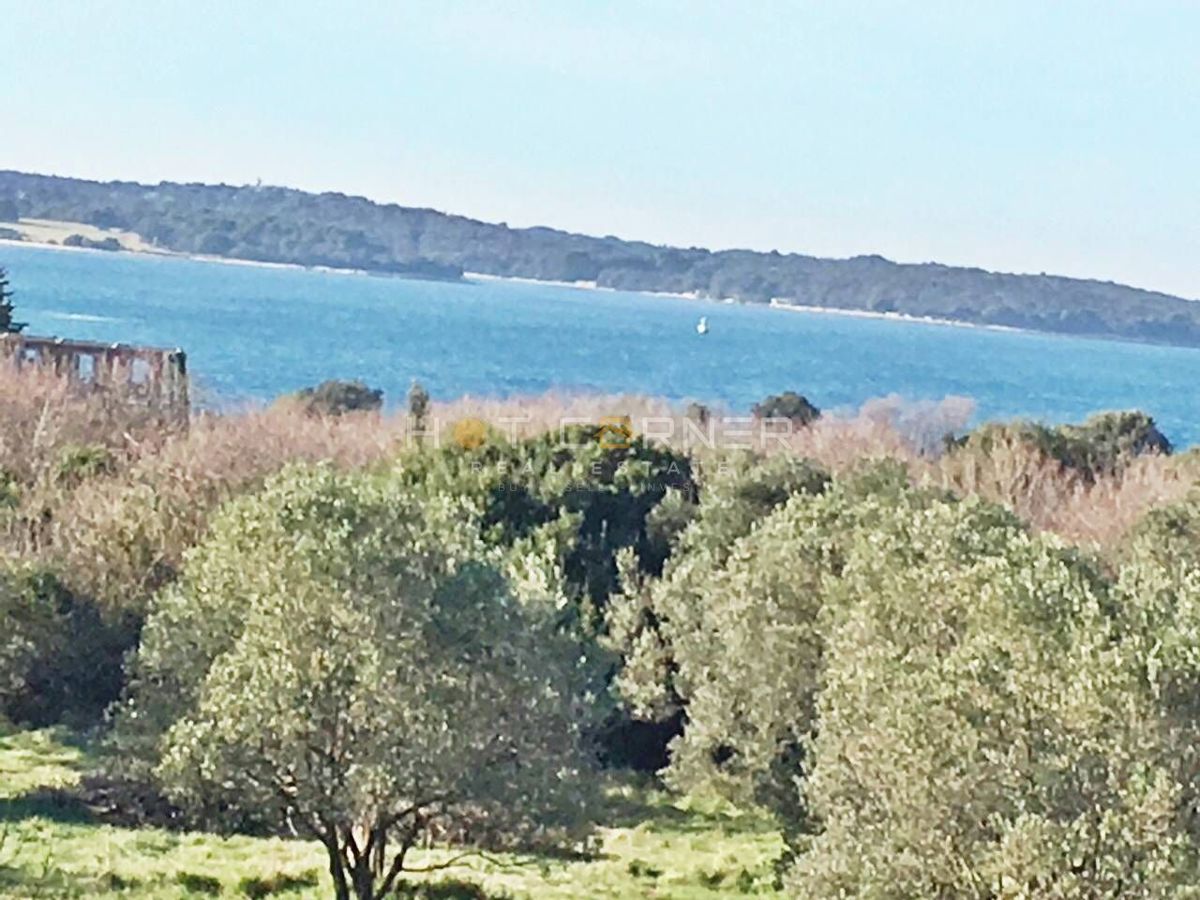 PULA