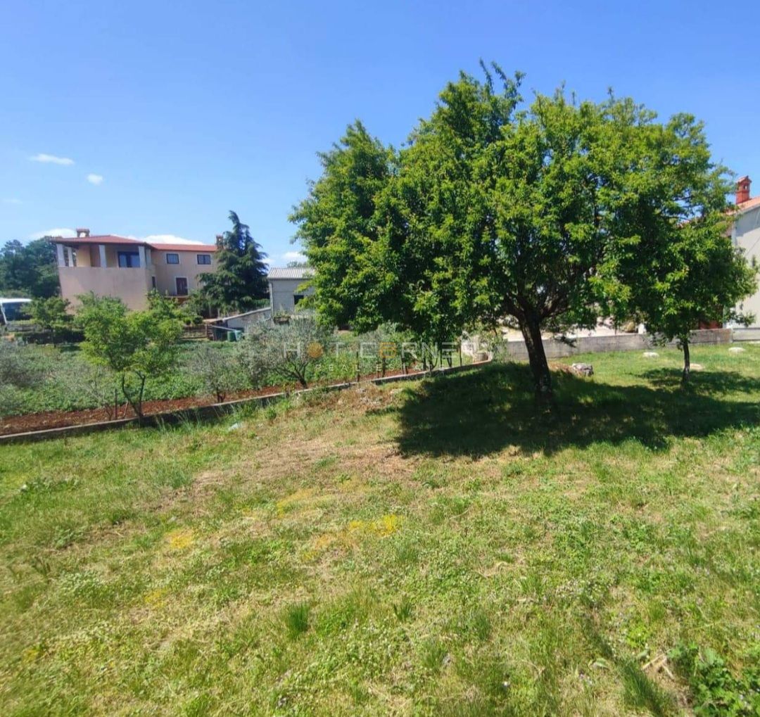 PAJKOVIĆI