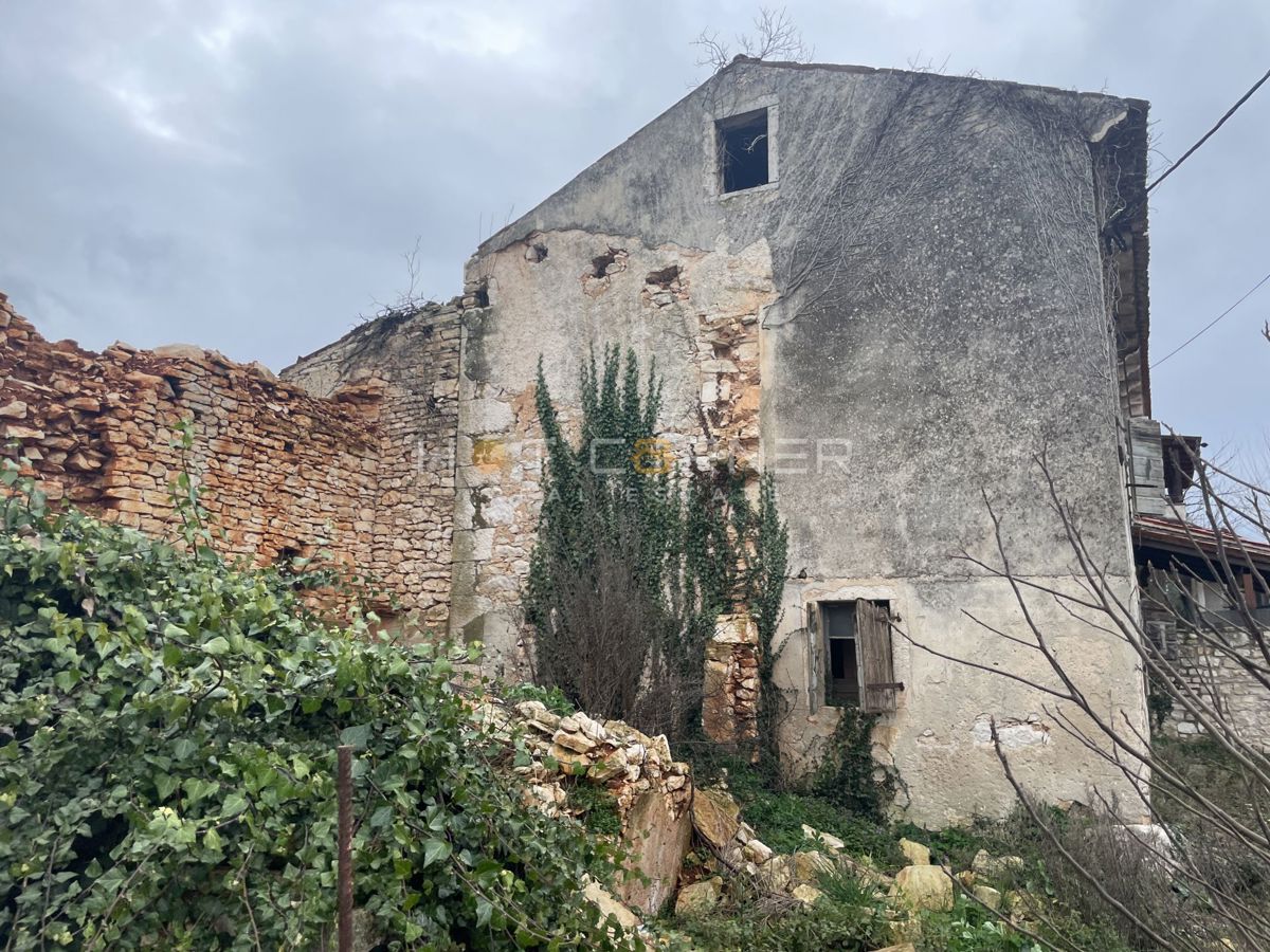 PULA