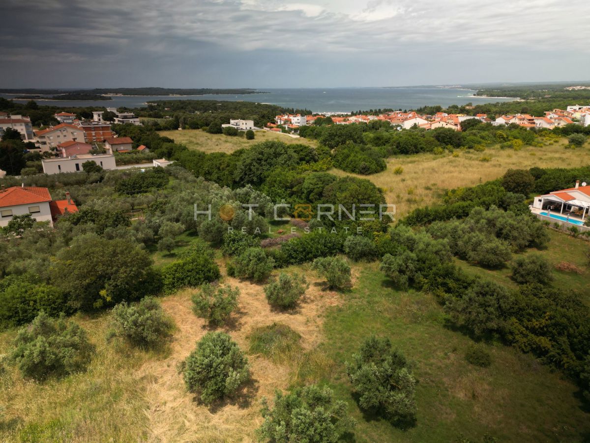 PULA