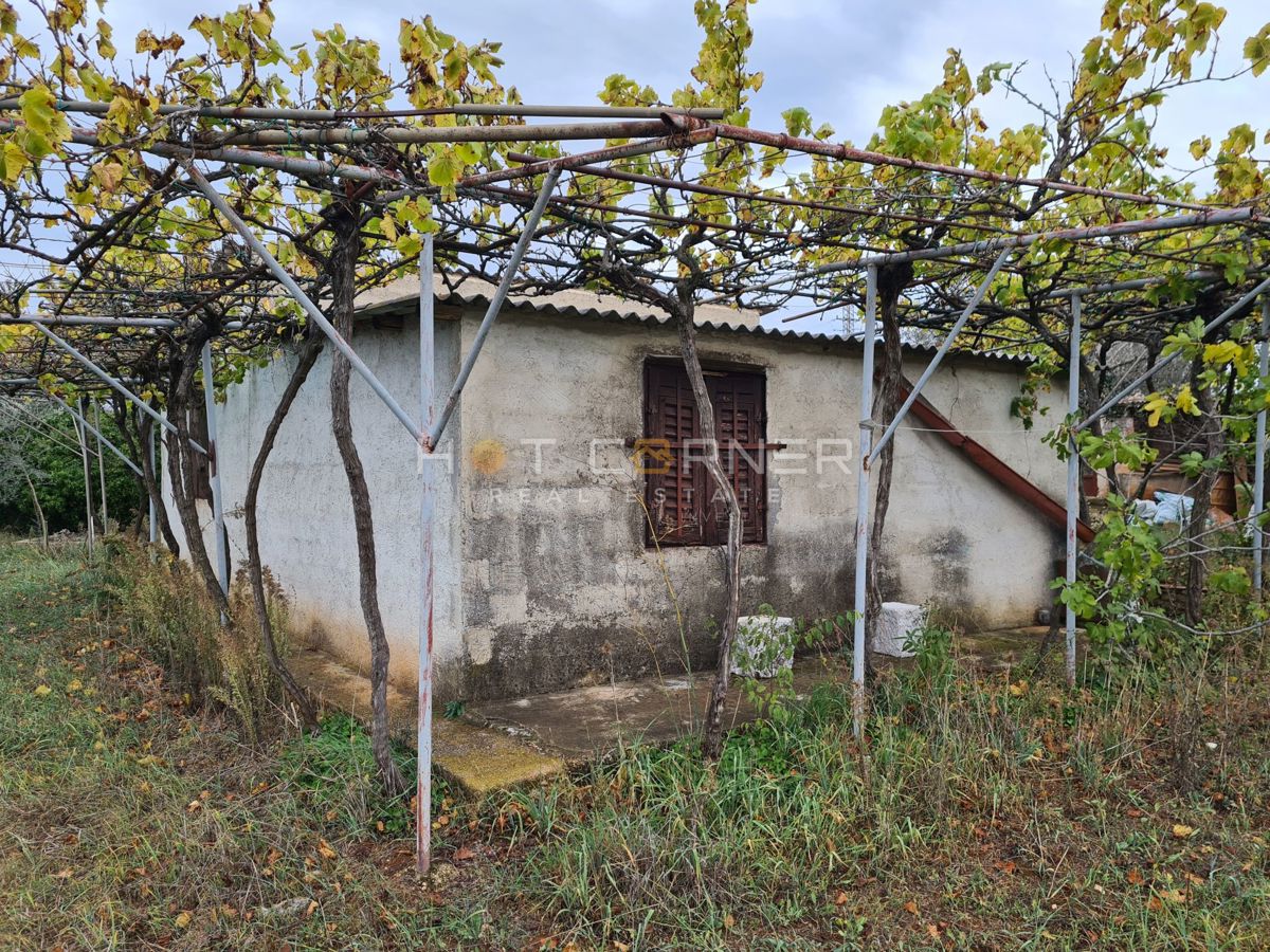 FAŽANA