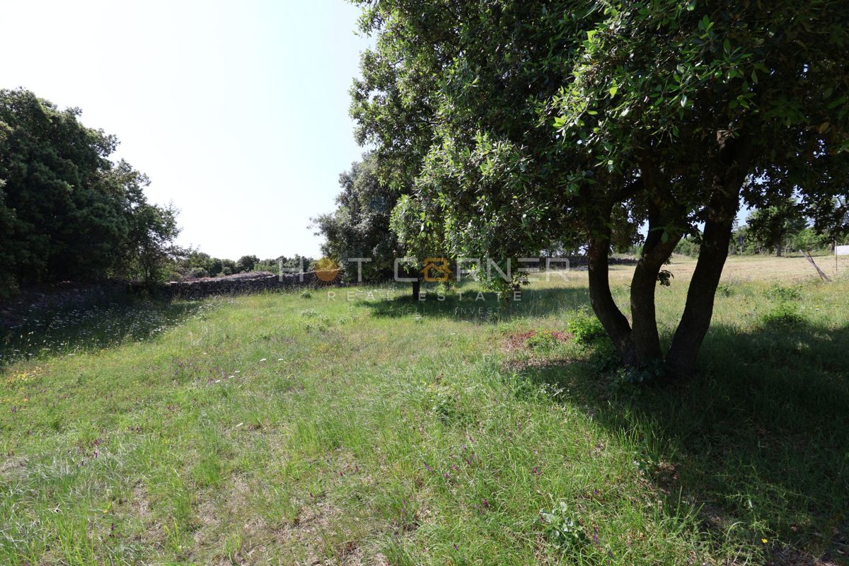 Kavran, 735m2 građevinska parcela do ceste – 3