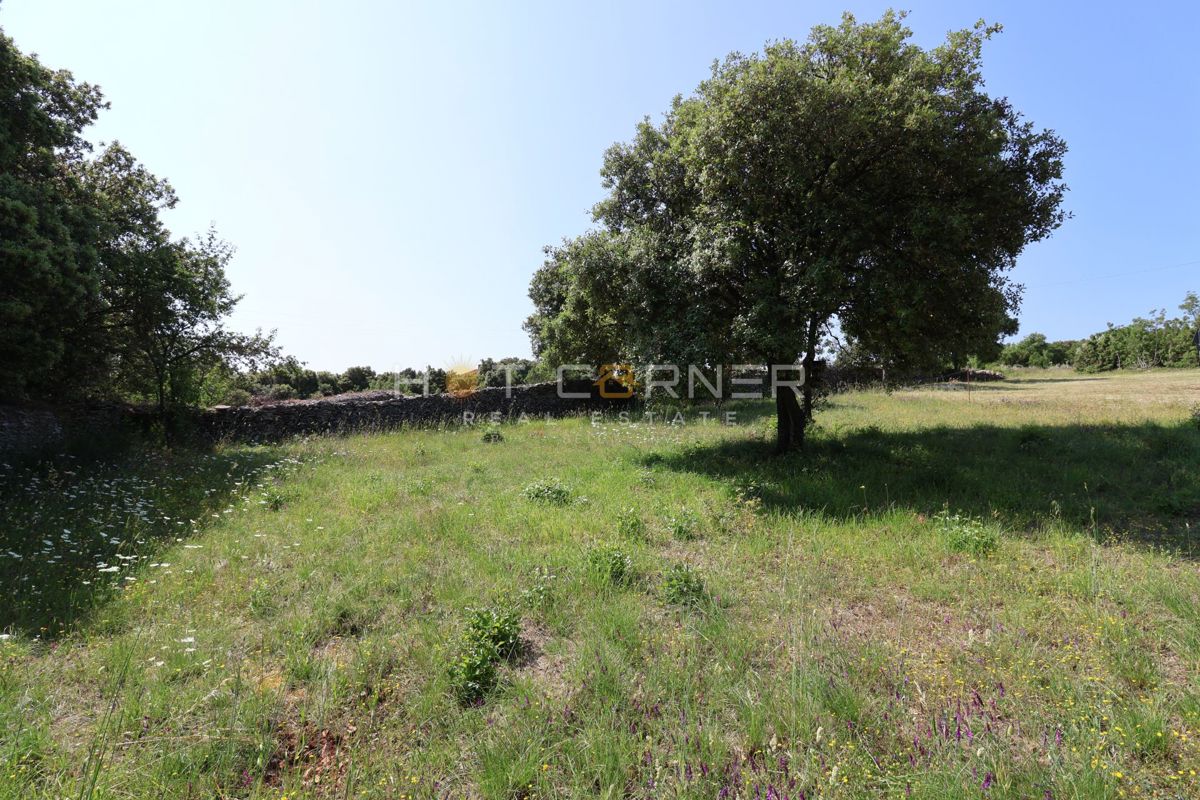 Kavran, 735m2 građevinska parcela do ceste – 2