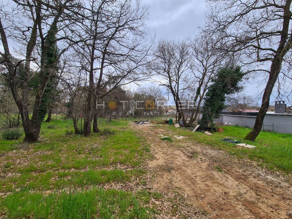 FAŽANA