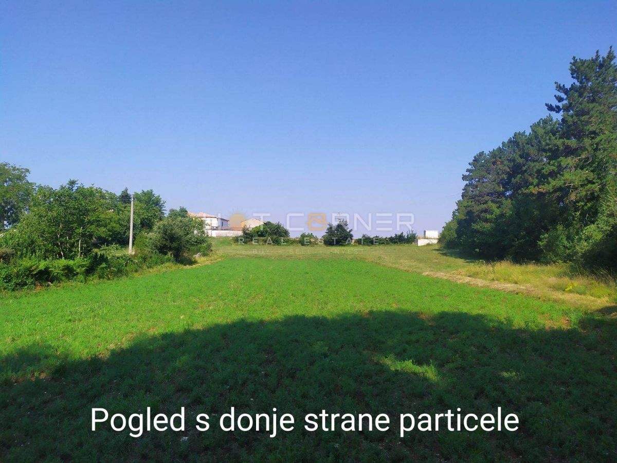 VIŠNJAN