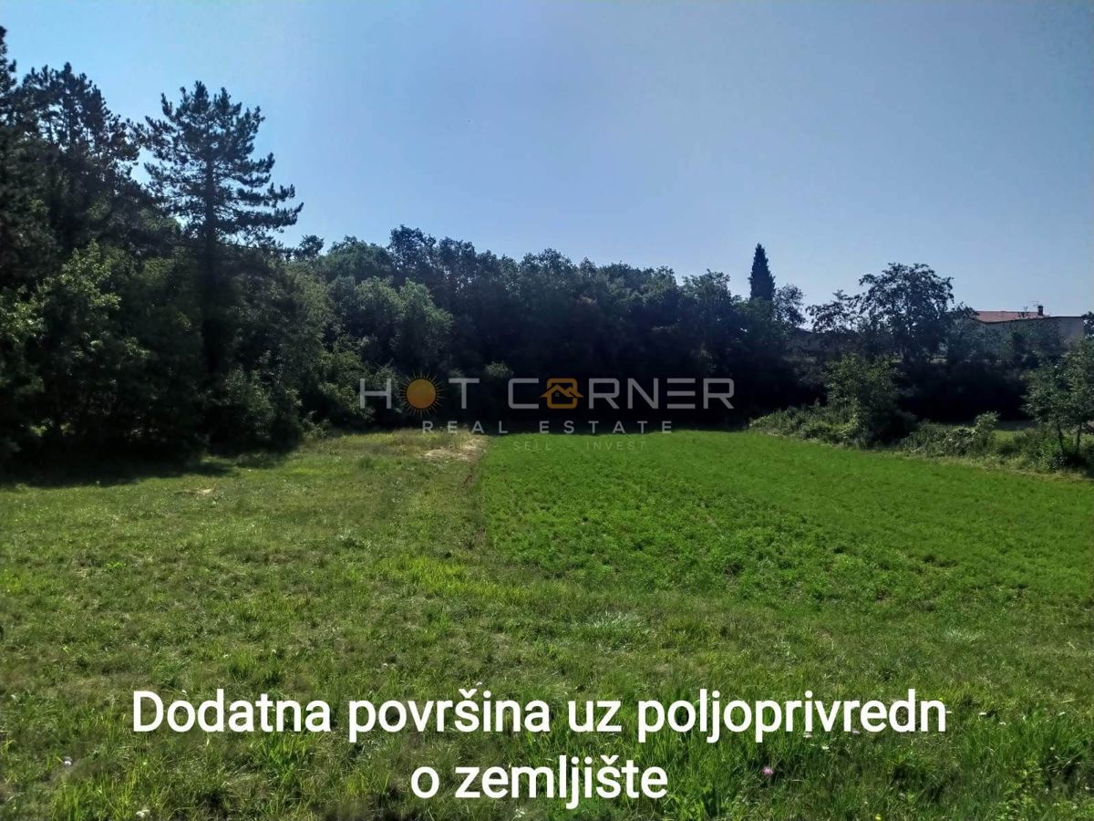 VIŠNJAN