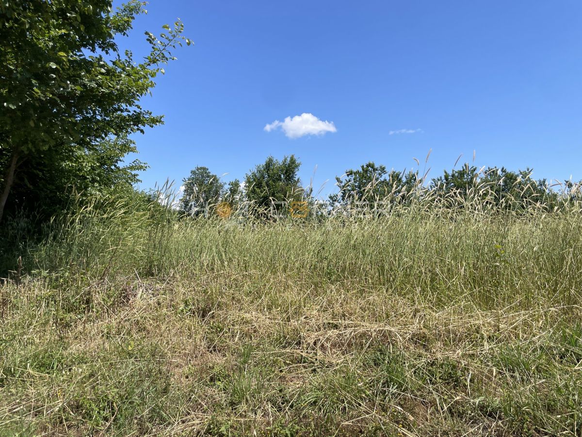 VODNJAN