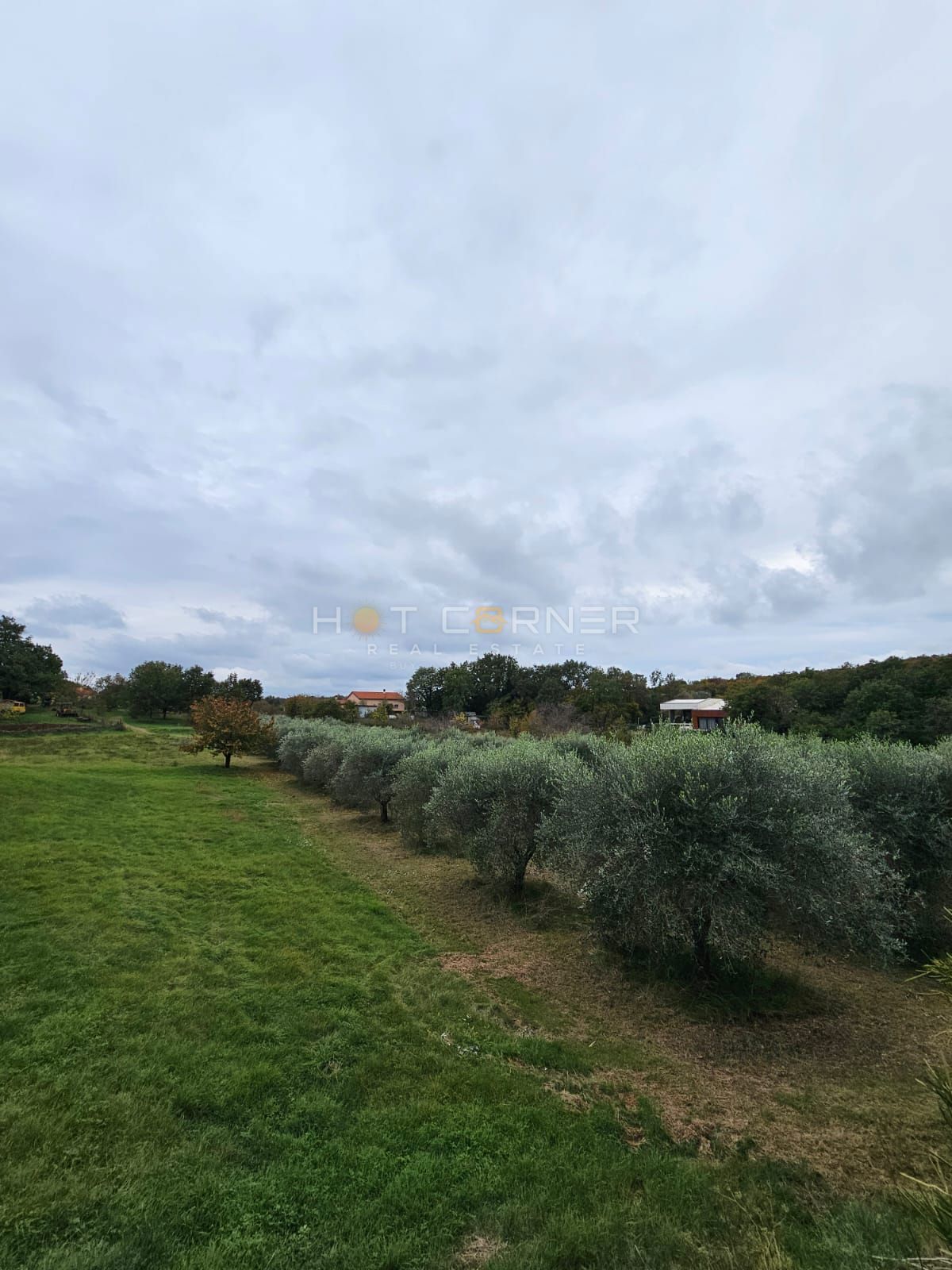 Čudovita zazidljiva parcela v bližini Rovinja – 5.060 m² – 2