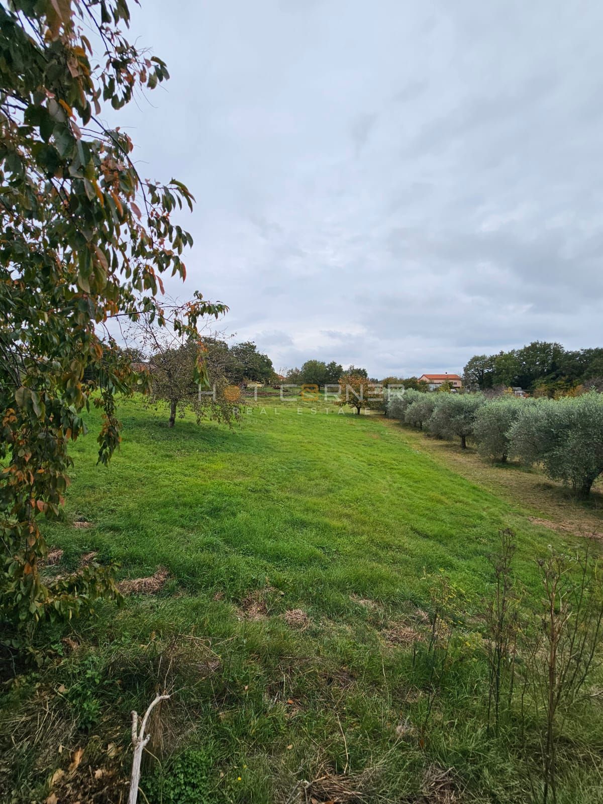 Čudovita zazidljiva parcela v bližini Rovinja – 5.060 m² – 3