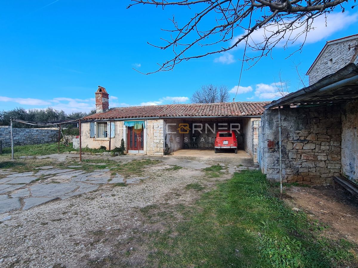 GALIŽANA