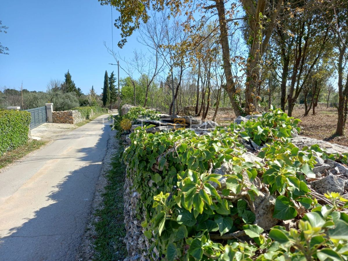RAKALJ