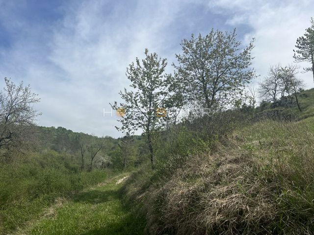 MOTOVUN